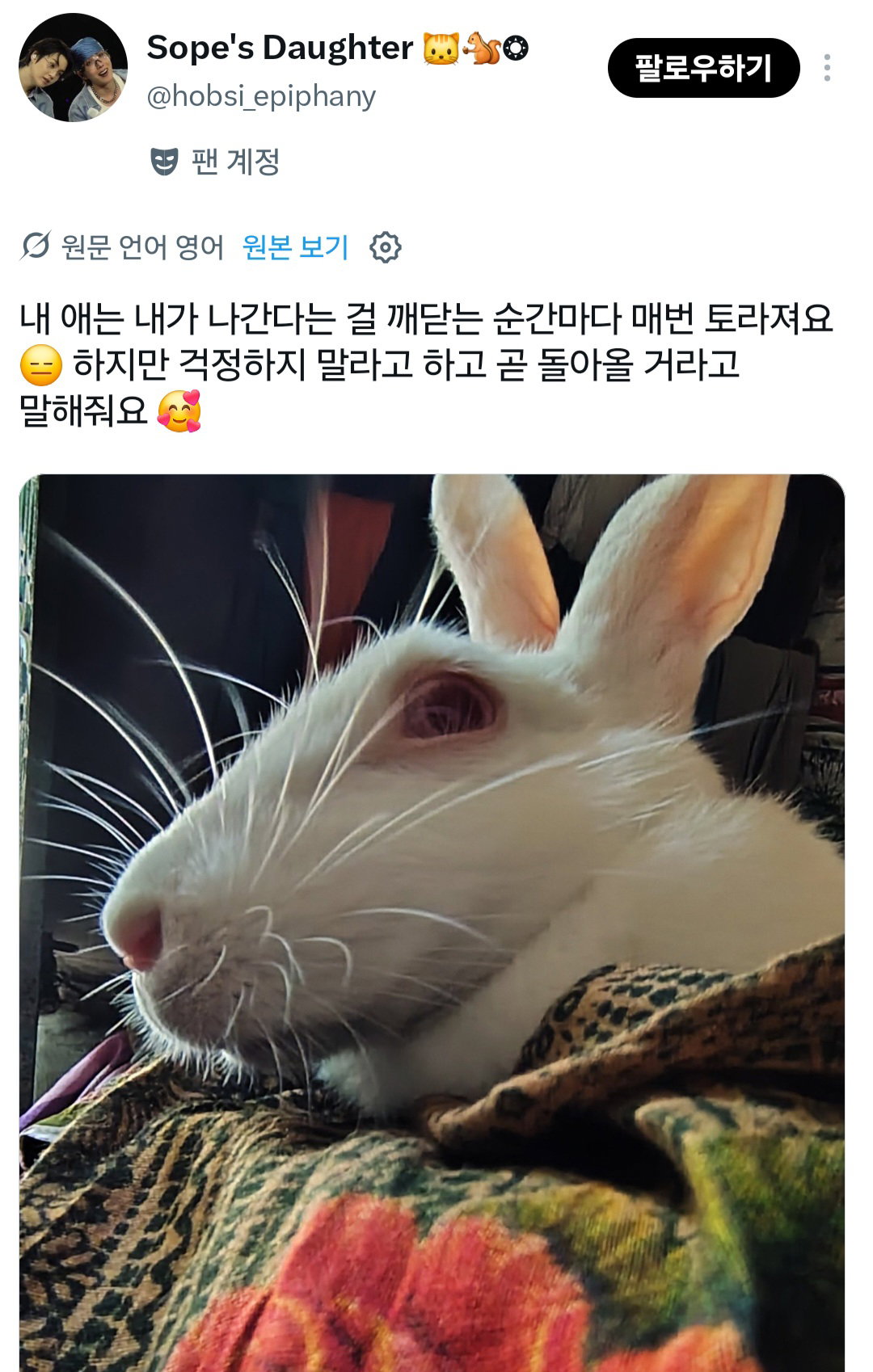너희도 반려동물한테 나간다고 미리 말해주고 착하게 있으라고 말해????