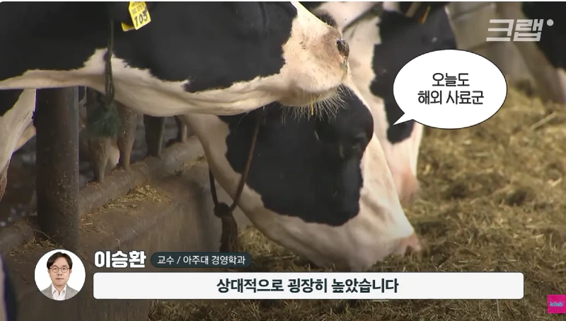 40년만에 최저수준을 찍었다는 우유 소비news