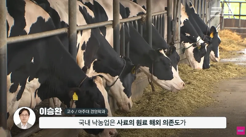 40년만에 최저수준을 찍었다는 우유 소비news