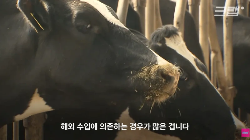 40년만에 최저수준을 찍었다는 우유 소비news