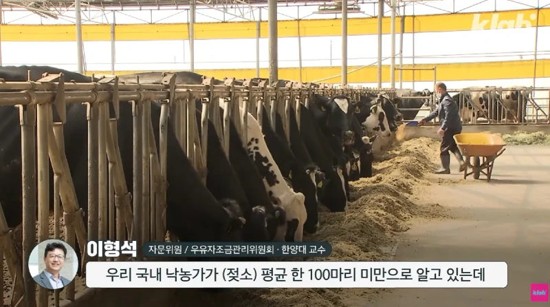 40년만에 최저수준을 찍었다는 우유 소비news
