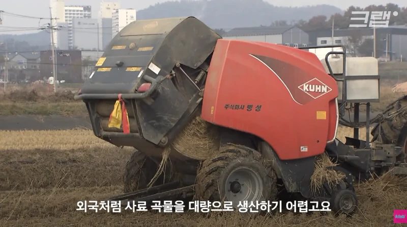 40년만에 최저수준을 찍었다는 우유 소비news