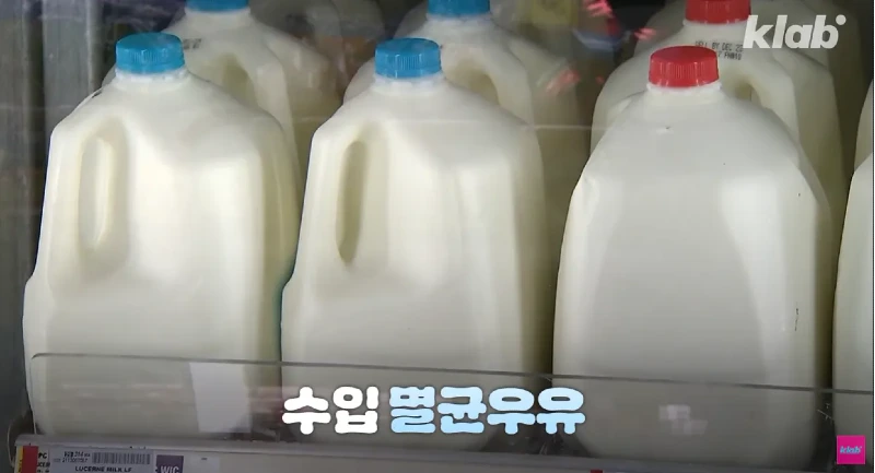 40년만에 최저수준을 찍었다는 우유 소비news