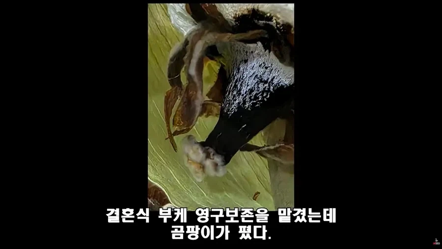 법대로 하시던가 의 결말