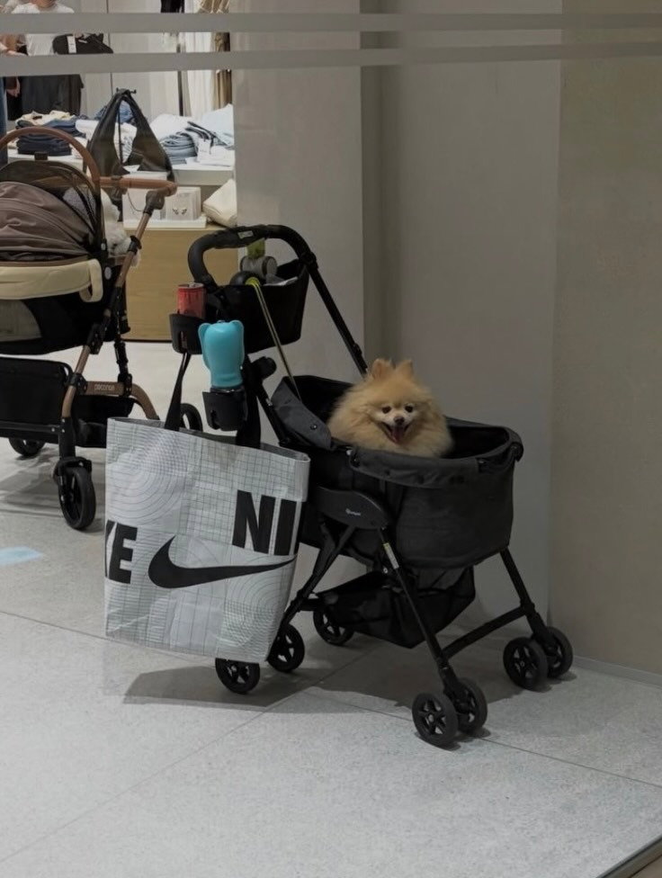 외국인들이 좋아하는 한국 감성샷.jpg