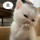 블라 헬스장 뚱녀가 자꾸 생각남txt