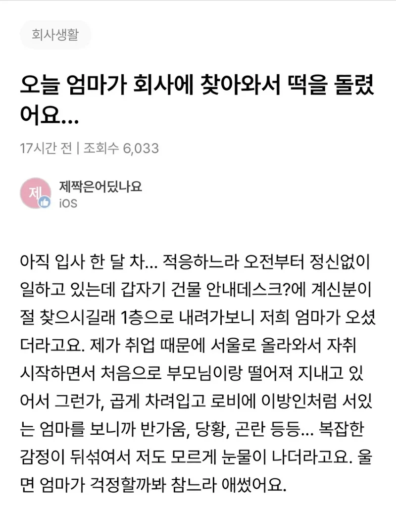 리멤버 오늘 엄마가 회사에 찾아와서 떡을 돌렸어요txt