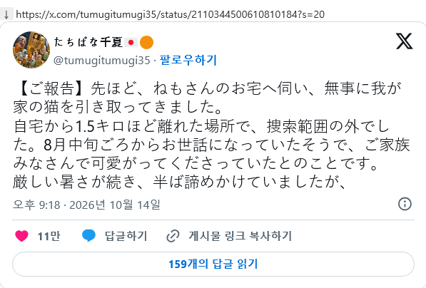 일본 트위터에서 좋아요 대박난 뻔뻔한 길고양이의 진실 (feat. SNS의 순기능)