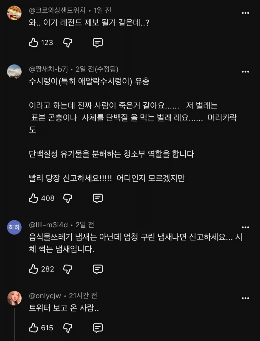 지금 난리난 곤충유튜버 다흑 커뮤니티 근황…jpg