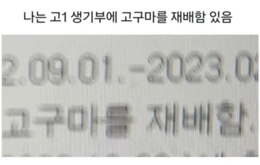 당황스러운 내용의 학교 생기부