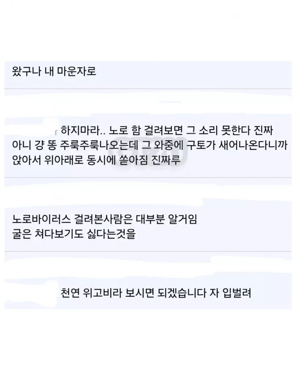 현재 노로바이러스 때문에 비상 걸렸다는 경남 굴 근황