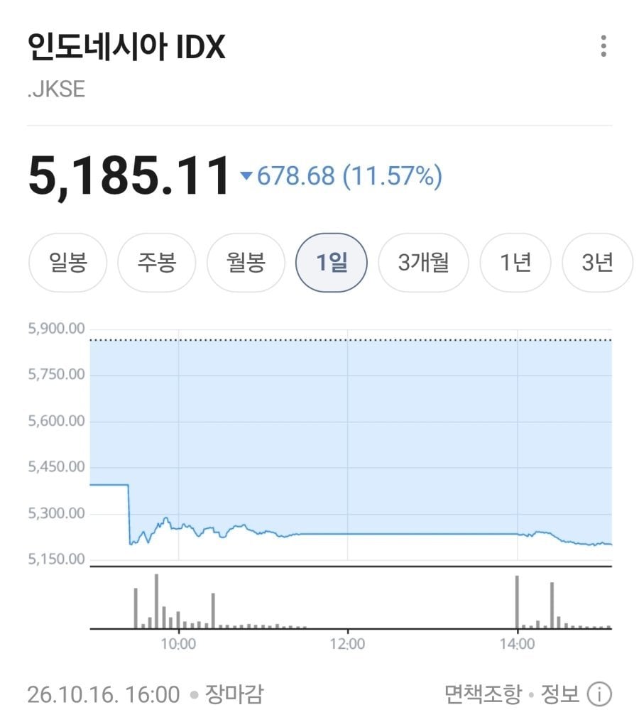경제 폭망한 인도네시아 근황