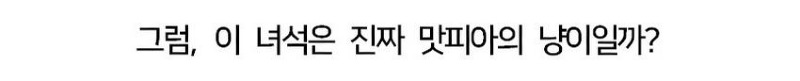 못생긴 반려 동물 대회에 참가한 나폴리 맛피아