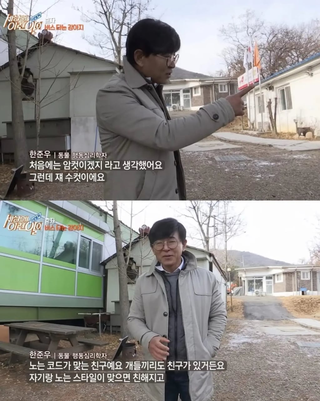 고전 친구 만나러 혼자 버스타고 5km를 무임승차하는 초롱이