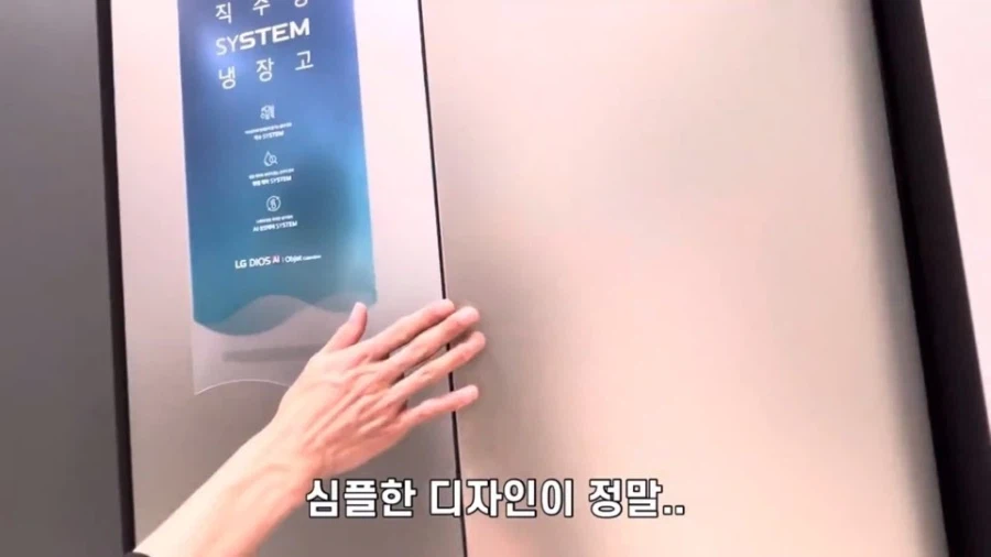 한국에 대해 아무것도 모르고 온 일본 청년들의 최후