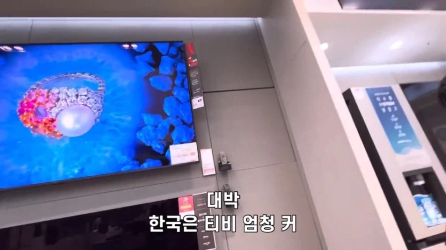 한국에 대해 아무것도 모르고 온 일본 청년들의 최후