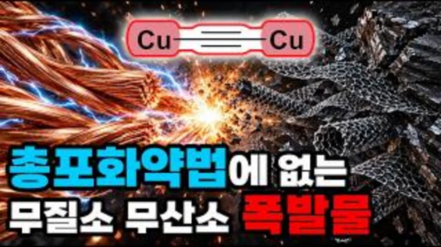 집행유예 끝나자마자 바로 저질러버린 유튜버