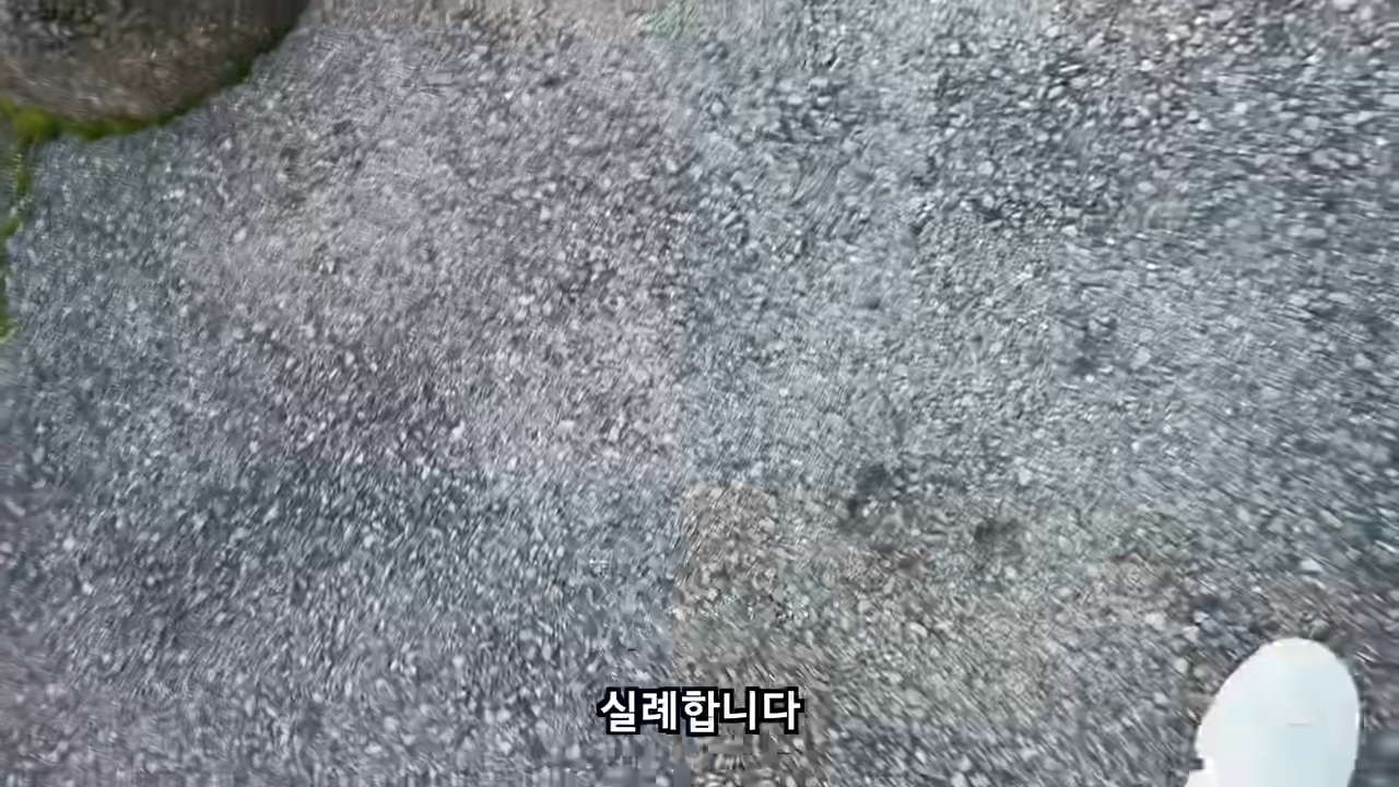 료칸에서 지갑을 주운 유튜버
