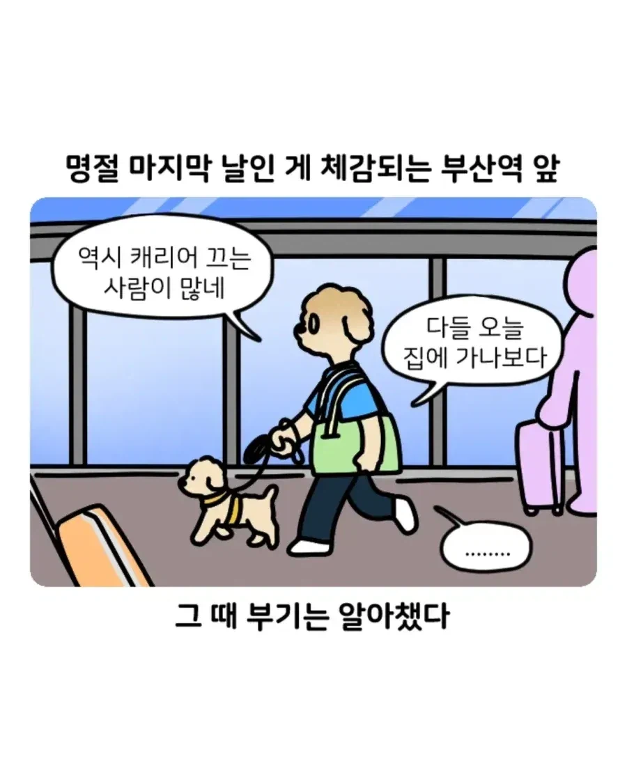 부캉이 보러 부산 갔다 부산 택시 경험한 썰