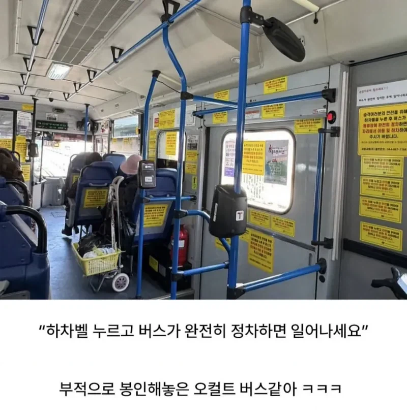 광기의 세종버스