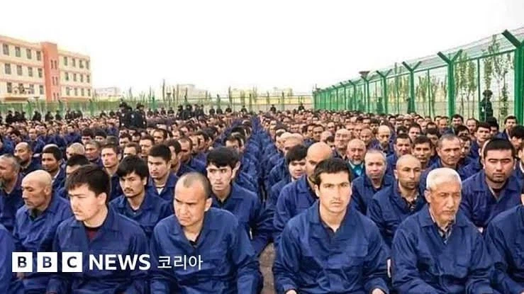 같은 무슬림이라도 중동한테 철저하게 외면 받는 민족