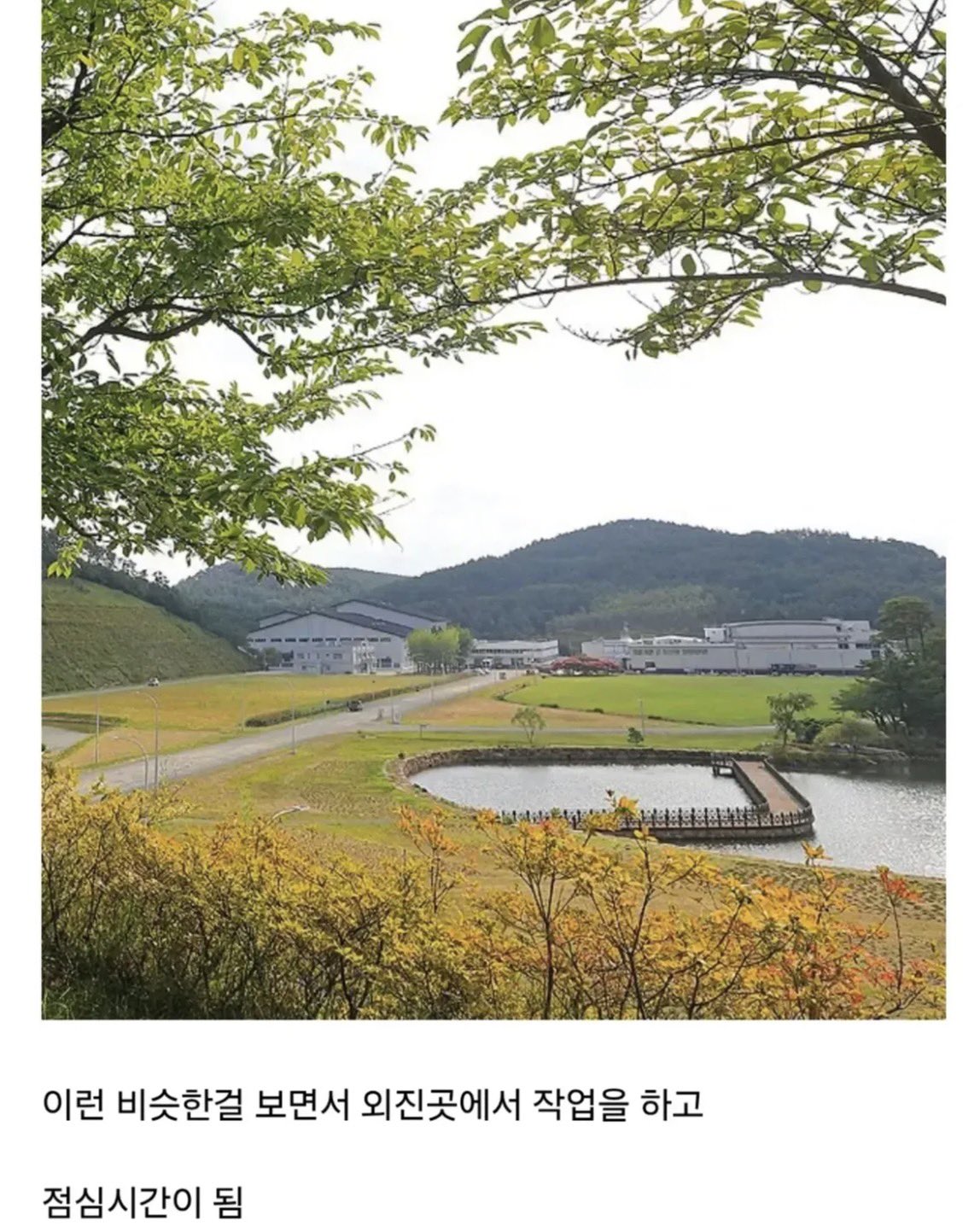 어느 노가다 아재의 사이비 본진 방문 썰