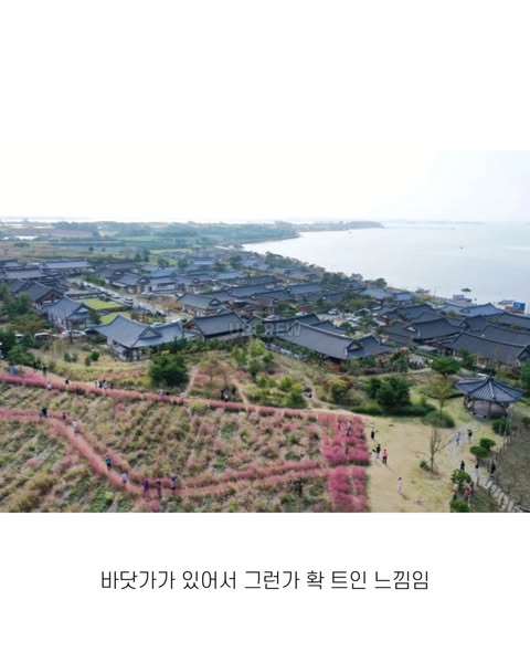 국내에서 유일한 바닷가 한옥마을