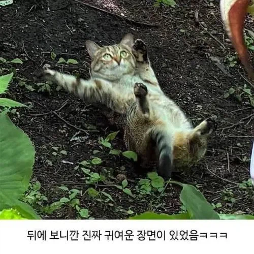 할머니가 귀엽다며 보내준 사진