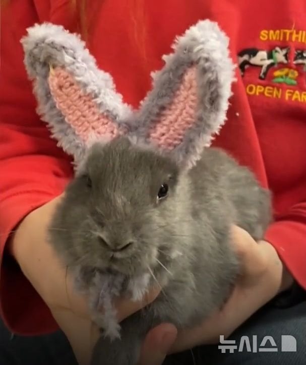 귀 없이 태어난 토끼와 이를 가엾이 여긴 할머니