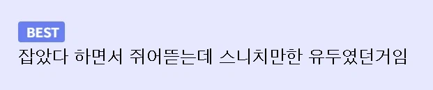 해리포터) 골드 스니치 대신에 다른걸 잡은 해리.jpg