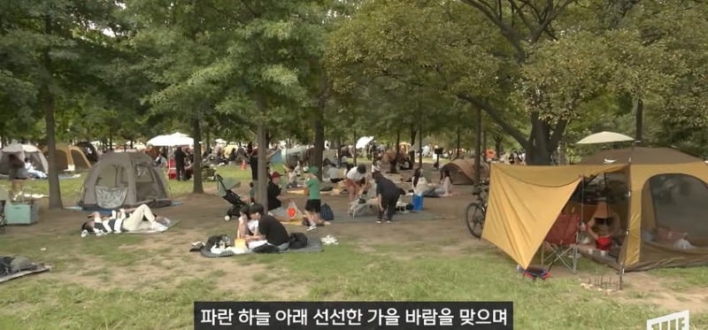 한강 필승 조합이 바꺘다, 회크닉 인기..jpg