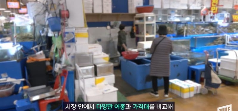 한강 필승 조합이 바꺘다, 회크닉 인기..jpg