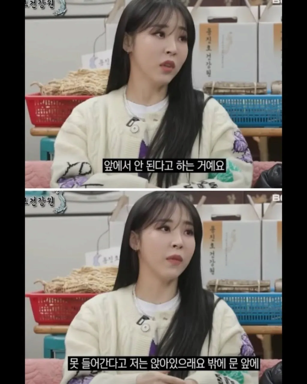 일본에서의 문신충 취급