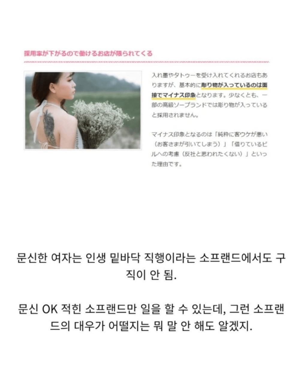일본에서의 문신충 취급