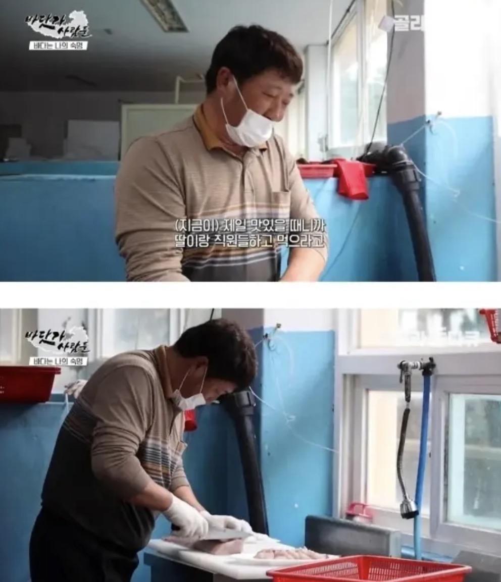딸 직장에 방어회 싸오신 아버지