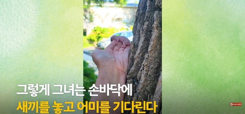 어미 다람쥐에게 갈곳 잃은 새끼 보여줬더니...jpg