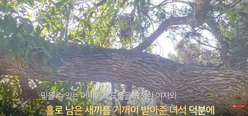 어미 다람쥐에게 갈곳 잃은 새끼 보여줬더니...jpg
