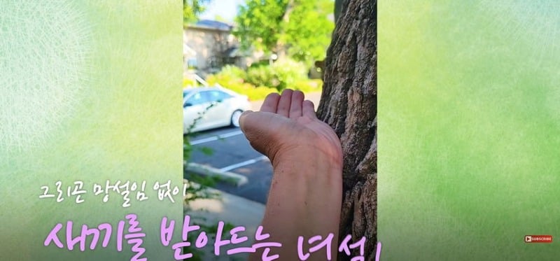 어미 다람쥐에게 갈곳 잃은 새끼 보여줬더니...jpg