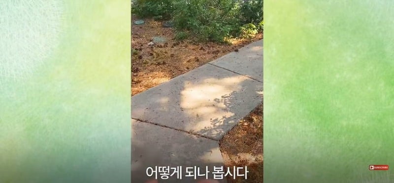 어미 다람쥐에게 갈곳 잃은 새끼 보여줬더니...jpg