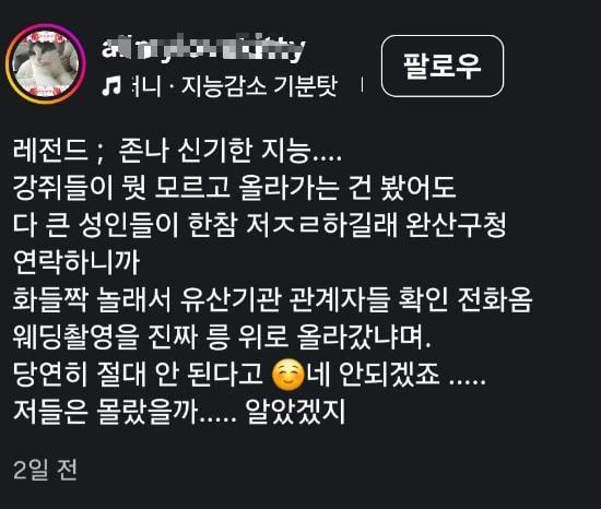 무덤 밟고 웨딩 촬영하는 호로쌍노무 커플