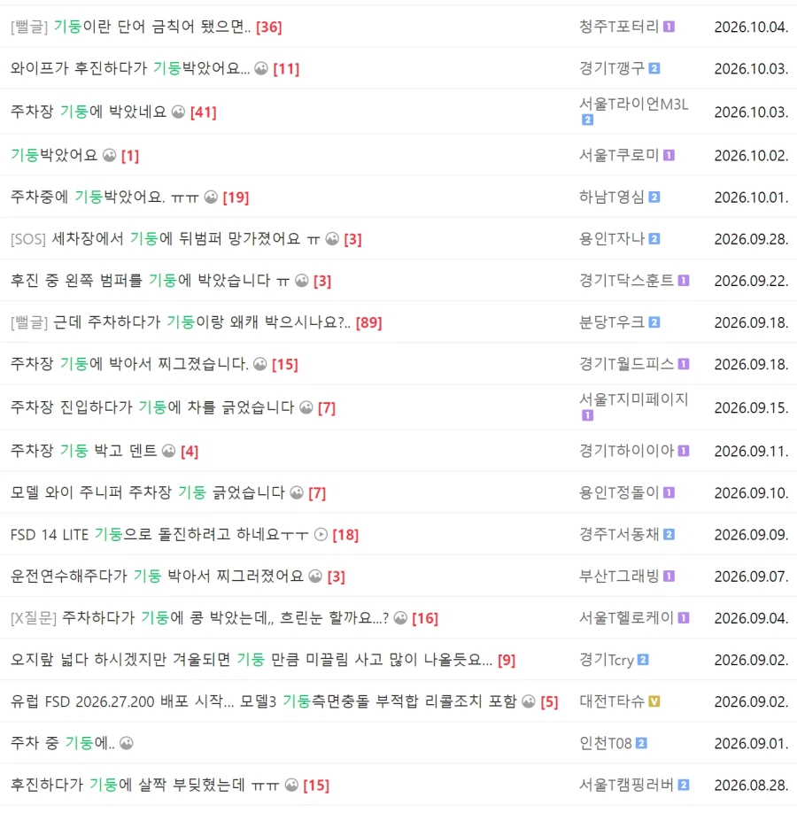테슬라 오너들이 경기 일으키는 단어