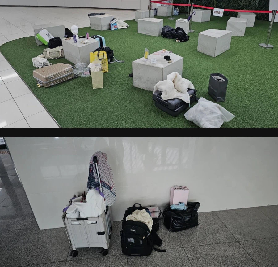 와들와들 간곡한 호소에도 결국 또 터진 서코 근황