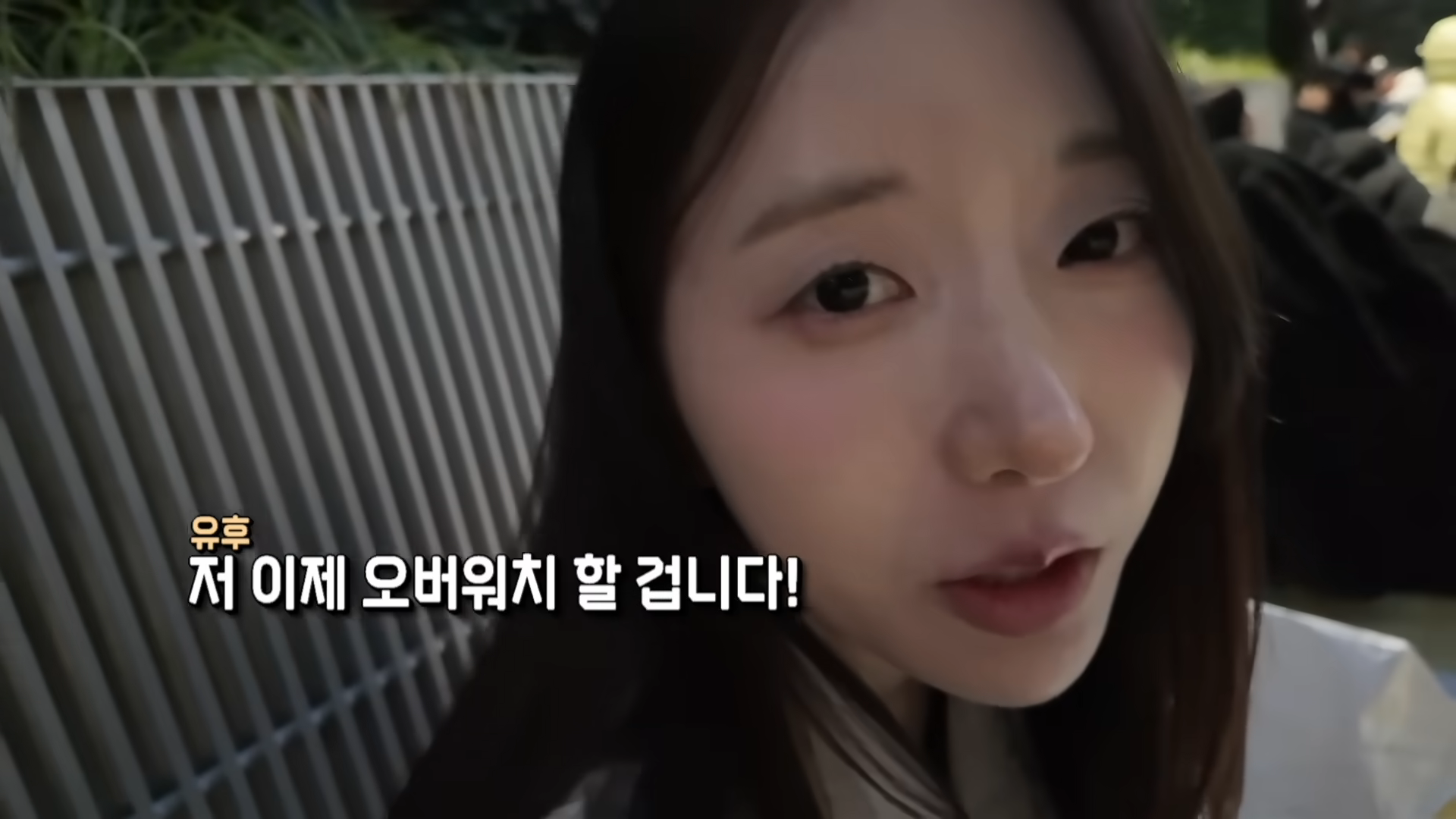 한정선 보다 더 심하다는 고디바 모찌 근황