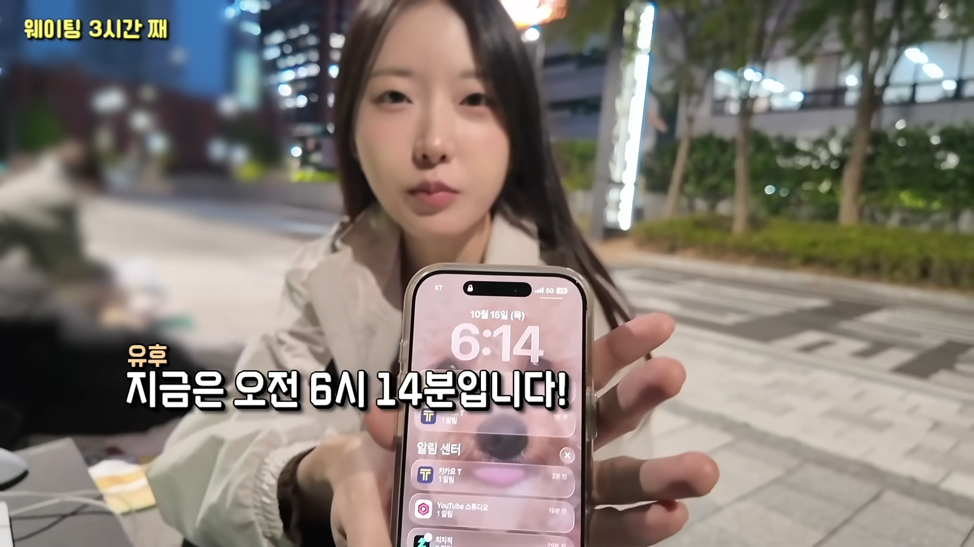 한정선 보다 더 심하다는 고디바 모찌 근황
