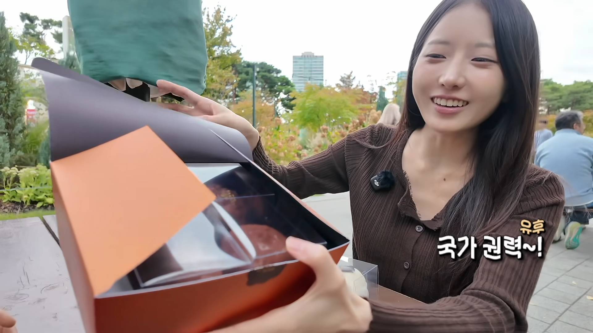한정선 보다 더 심하다는 고디바 모찌 근황
