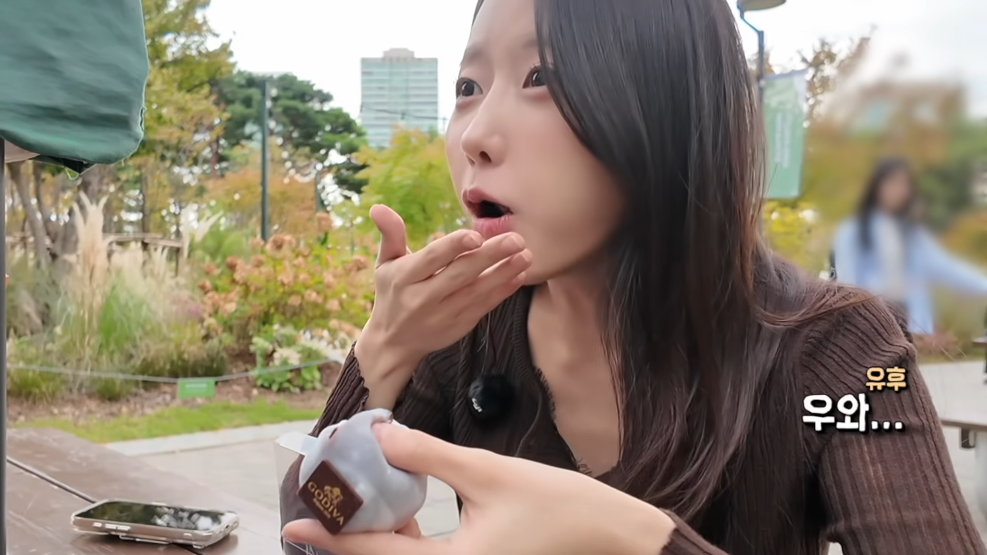 한정선 보다 더 심하다는 고디바 모찌 근황