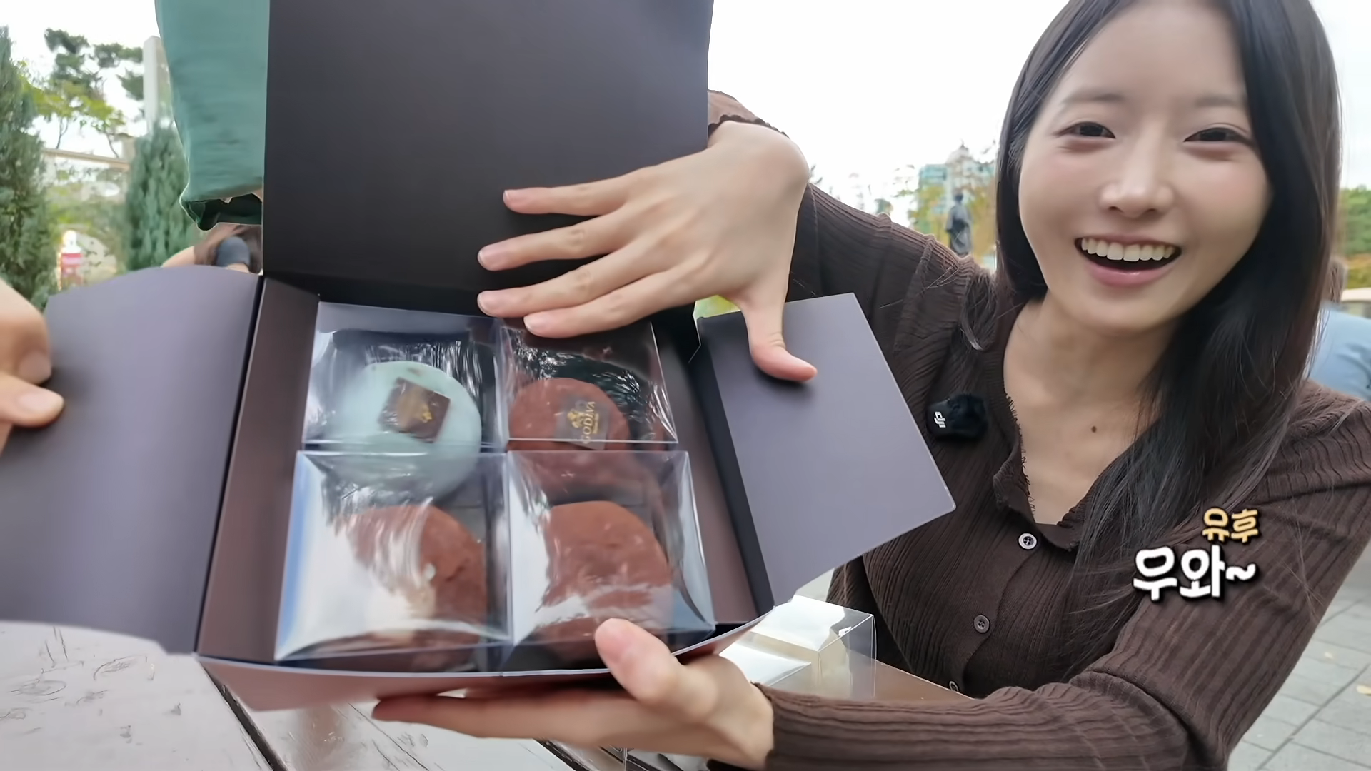 한정선 보다 더 심하다는 고디바 모찌 근황