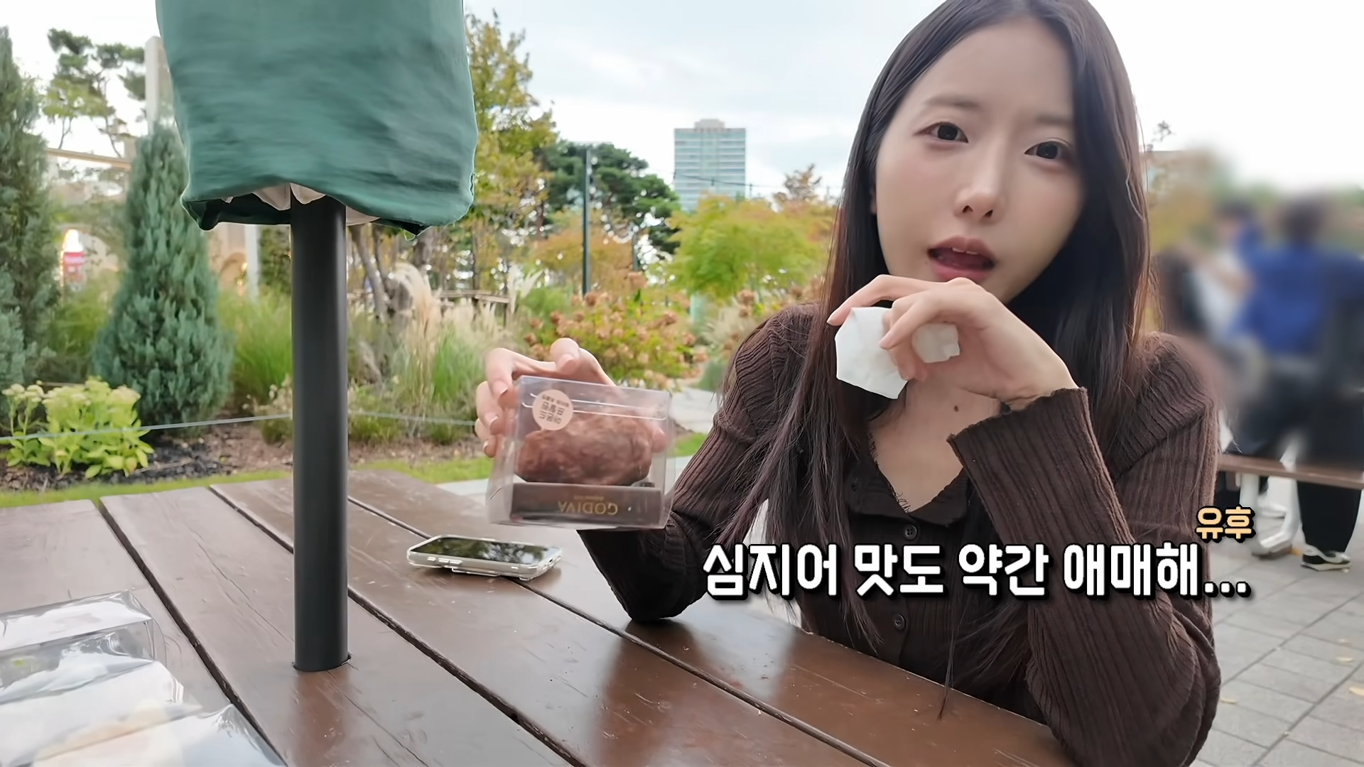 한정선 보다 더 심하다는 고디바 모찌 근황