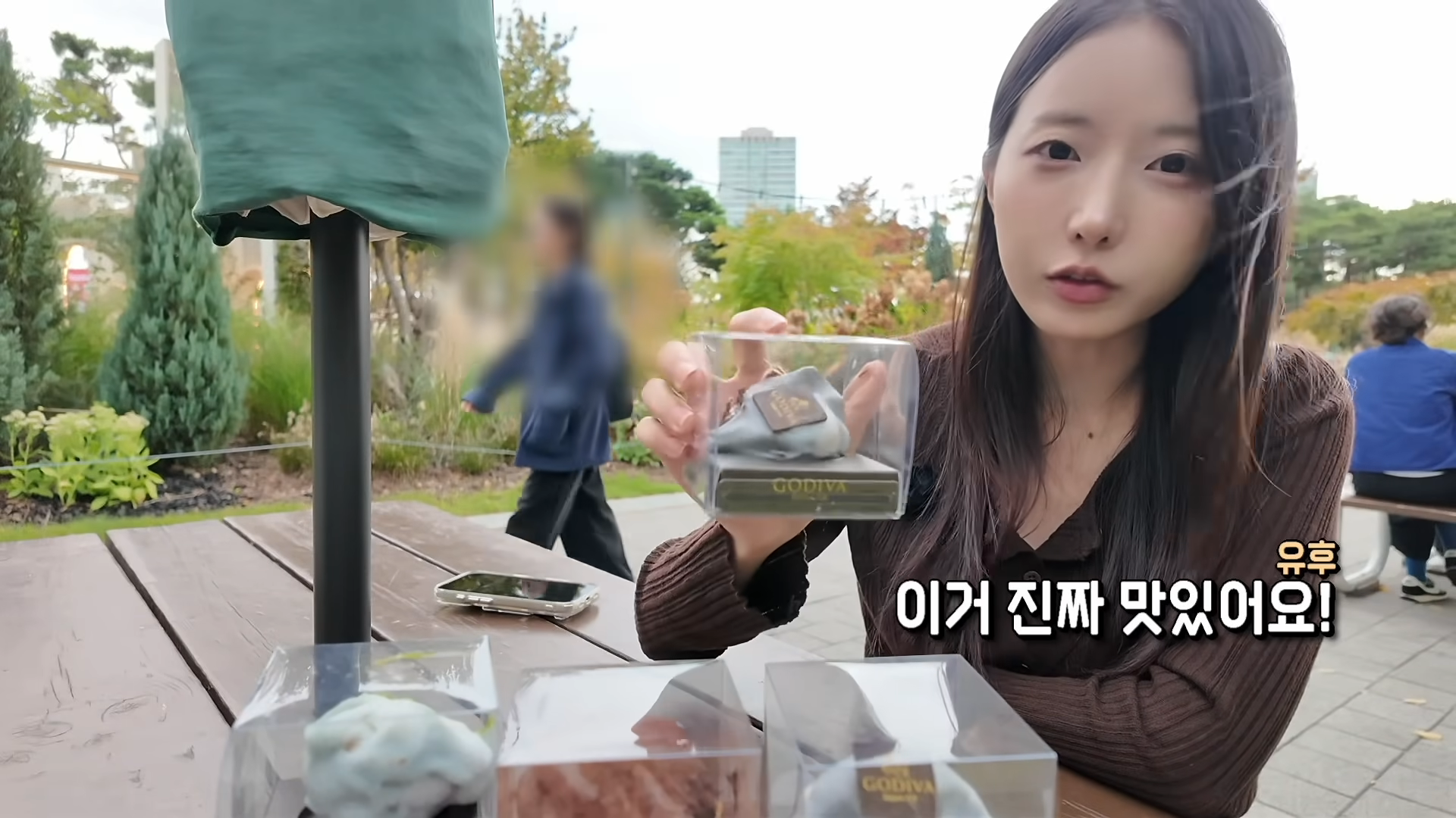 한정선 보다 더 심하다는 고디바 모찌 근황