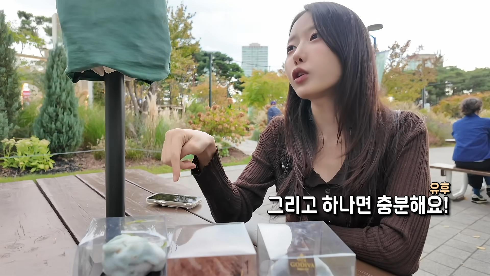 한정선 보다 더 심하다는 고디바 모찌 근황